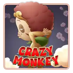CRAZY MONKEY