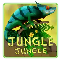 JUNGLE JUNGLE