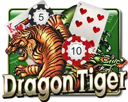 DRAGON TIGER